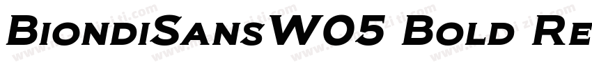 BiondiSansW05 Bold Regular字体转换